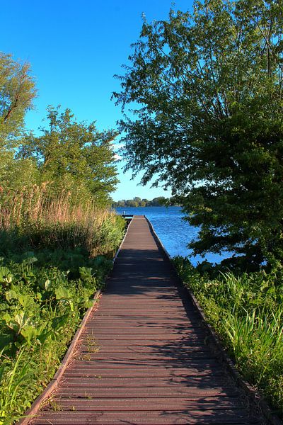 &quot;Walking route Kralingse Plas. by Capture the Moment 010
