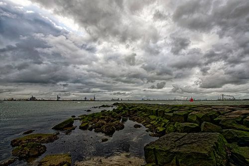Hoek van Holland
