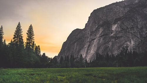Uitzicht over weiland in Yosemite 