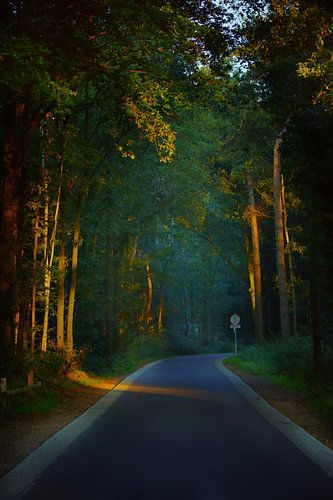 Hatertse en Overasseltse Vennen.