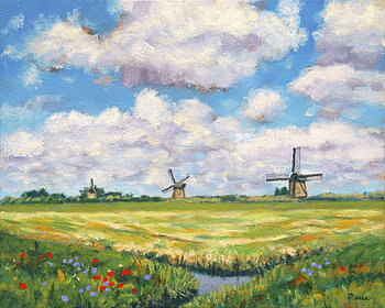 L'été dans les polders néerlandais