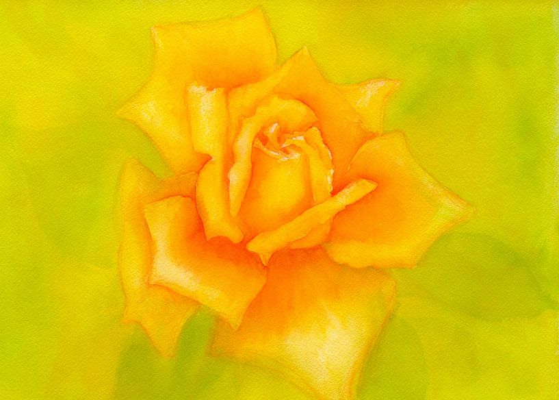 Une autre rose jaune par Karen Kaspar