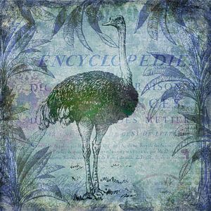 Vogel struisvogel van Andrea Haase