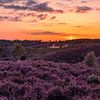 Sunset at the hills on the Posbank in Rheden by Rick van de Kraats