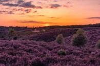 Zonsondergang bij de heuvels op de Posbank in Rheden van Rick van de Kraats thumbnail