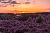 Zonsondergang bij de heuvels op de Posbank in Rheden