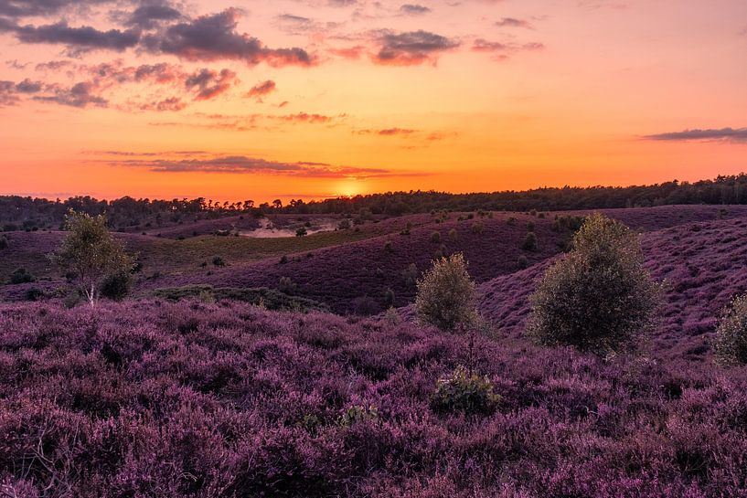 Zonsondergang bij de heuvels op de Posbank in Rheden van Rick van de Kraats