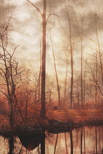 Une forêt d'automne se reflétant dans le lac sur Dirk Wüstenhagen