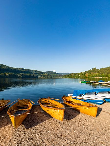 Titisee im Hochschwarzwald von Werner Dieterich