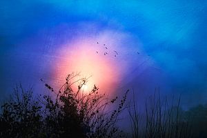 Sonnenaufgang im Nebel - Minimalistische Fotokunst