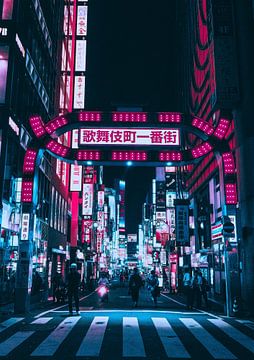 stad Tokio van widodo aw