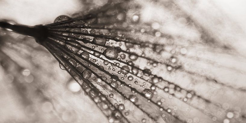 Abstract Panorama: Lines and drops disappear into the background by Marjolijn van den Berg
