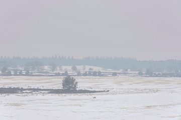 Sneeuwlandschap van Ans Bastiaanssen