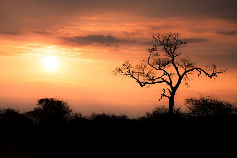 Afrikaanse zonsondergang van HansKl