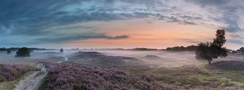 Dunes invitées ; brouillard ;brouillard, photo panoramique, écran large, dunes invitées par Karin Broekhuijsen
