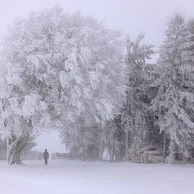 L'hiver sur le Schauinsland sur Patrick Lohmüller