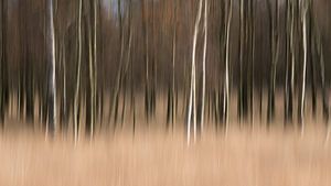 Entspannen Sie sich mit dieser abstrakten Wanddekoration an der Wand von LYSVIK PHOTOS