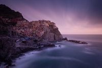 Manarola, Cinque Terre Nationaal Park ( Italië )