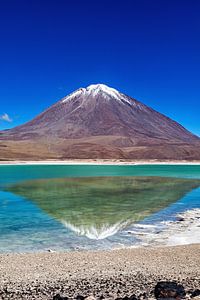 Die Laguna Colorada in Bolivien