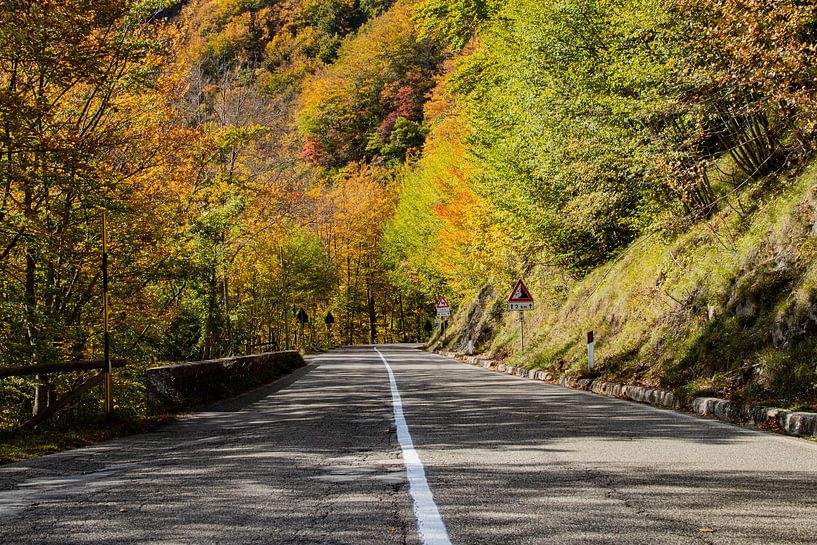 Road to Nature van AH-Fotografie