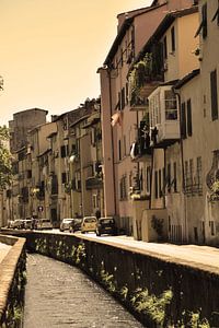 Toskana Italien Lucca Stadtzentrum Alt