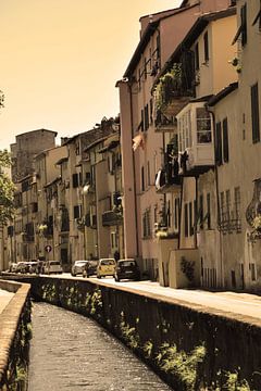 Tuscany Italy Lucca Downtown Old