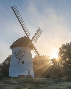 Krefeld, Rhénanie-du-Nord-Westphalie, Allemagne