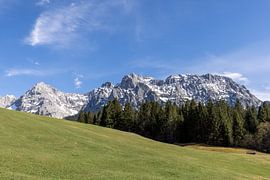 Bei den Buckelwiesen von Teresa Bauer