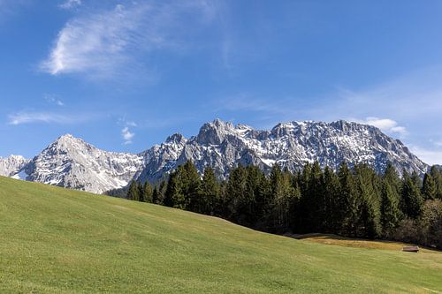 At the humpback meadows