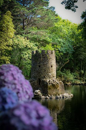 Eenden verblijf in Sintra, Portugal