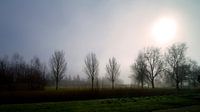 Een mistige morgen in het park.