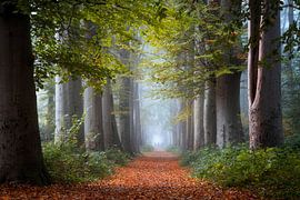 A beautiful morning....