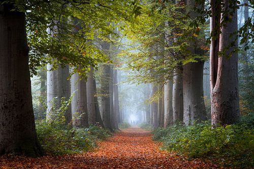 Een prachtige ochtend....