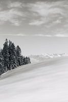 Schweizer Alpen 01 | Schwarz und weiß