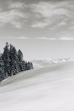 Schweizer Alpen 01 | Schwarz und weiß von Quinten Tolboom