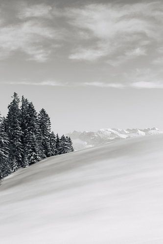 Schweizer Alpen 01 | Schwarz und weiß