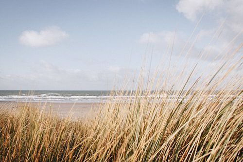 La mer et les dunes près de Hoek van Holland