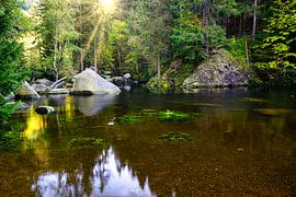 Le lit de la rivière avec de grosses pierres sur l'île de l'Engagement dans l'Oker dans les montagnes du Harz sur Andreas Völkel