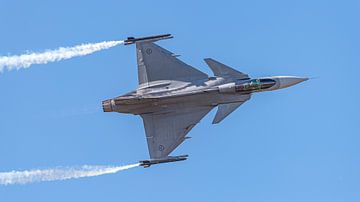 Saab Gripen of the Swedish Air Force. by Jaap van den Berg