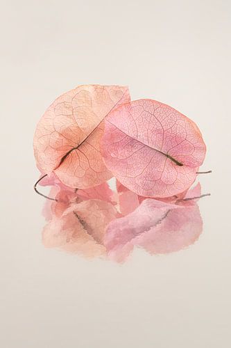 Ensemble jusqu'à la fin : deux feuilles séchées qui s'enlacent