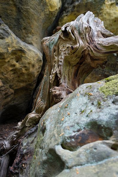 Wood and sandstone unite 1 by Heidemuellerin