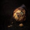 muffin by Christa van Gend