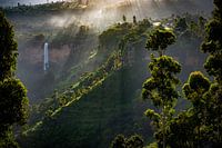 Sipifalls Uganda