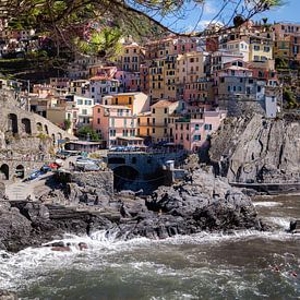 Manarola van Nicole Boekestijn