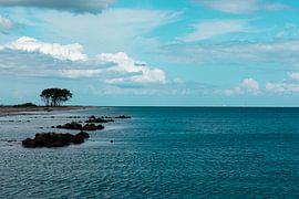 Côte de Schleimünde sur Sophie Luther