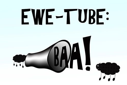 Social media voor dieren - Ewe tube