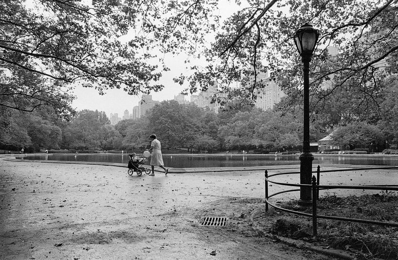 New York Central Park à l'automne par Raoul Suermondt