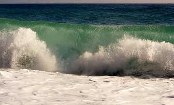 Le surf sur Cornelis (Cees) Cornelissen