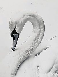 weißer Schwan von haroulita