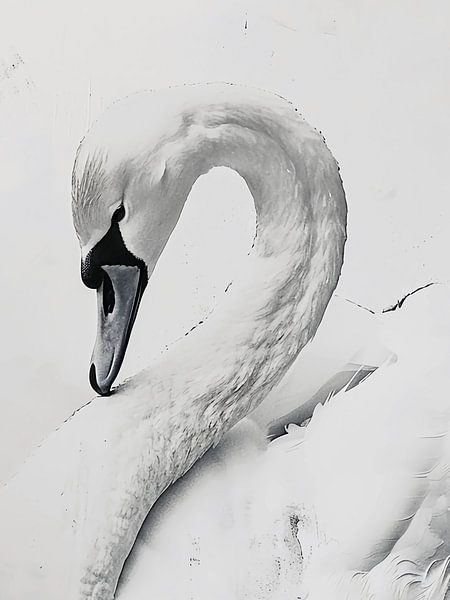 white swan by haroulita